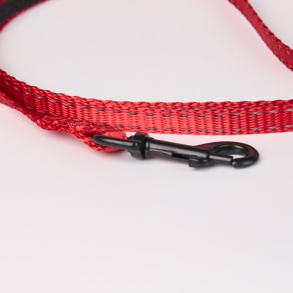 Nylon Dog Leash - close-up product detail