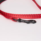 Nylon Dog Leash - close-up product detail