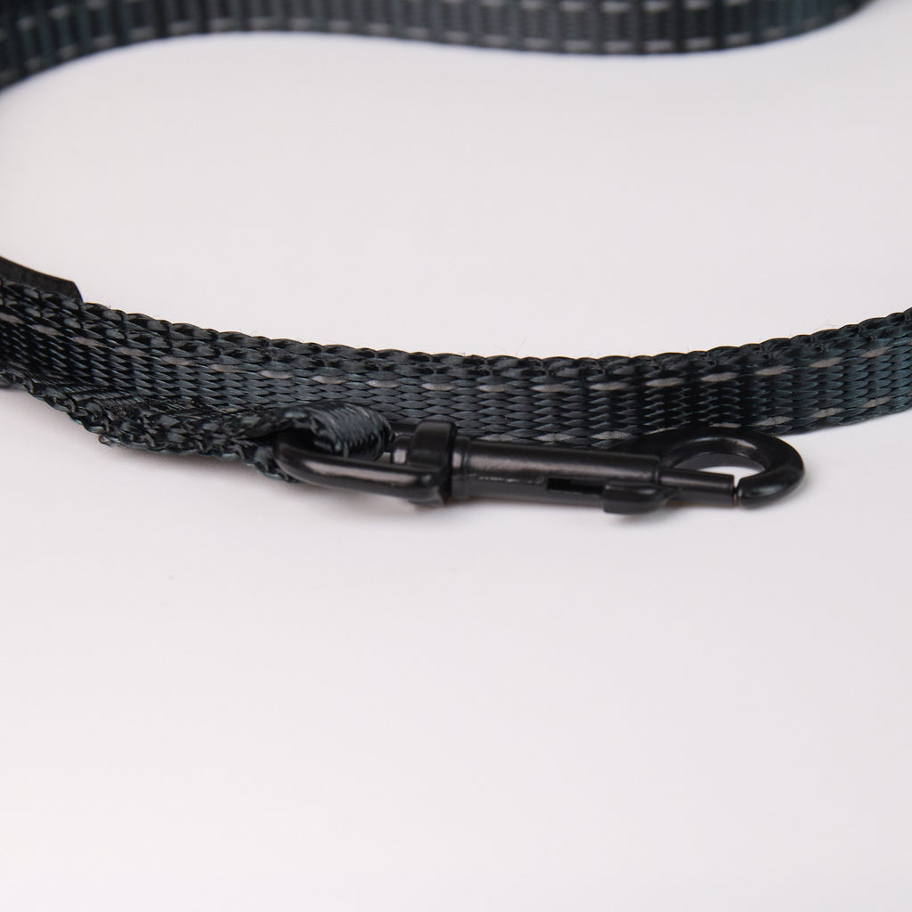 Nylon Dog Leash - additional product view