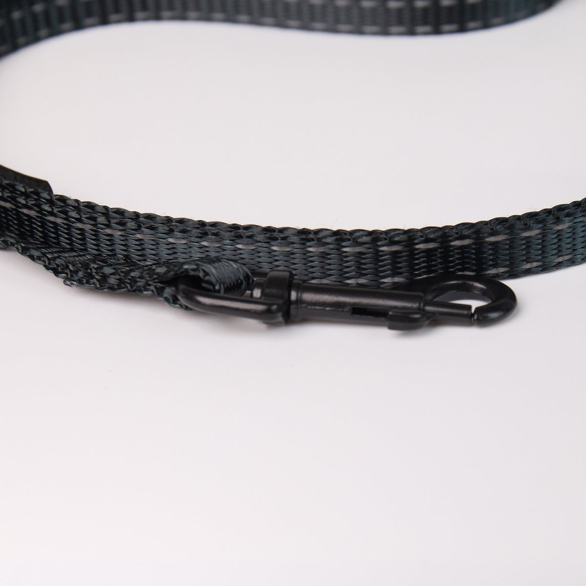 Nylon Dog Leash - additional product view