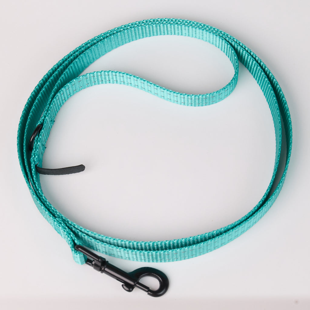 Nylon Dog Leash - additional product view