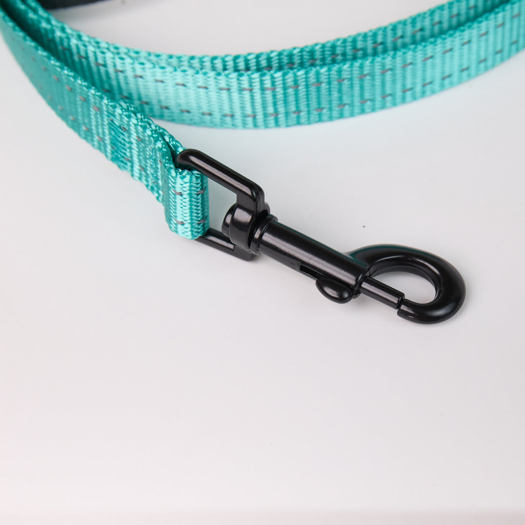 Nylon Dog Leash - close-up product detail