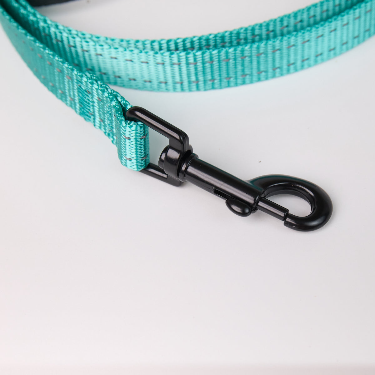 Nylon Dog Leash - close-up product detail