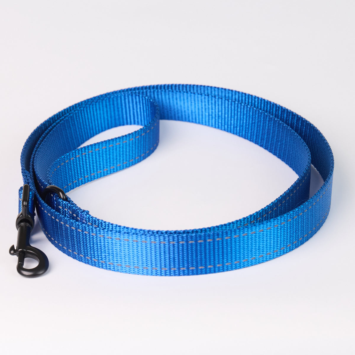 Nylon Dog Leash - Blue