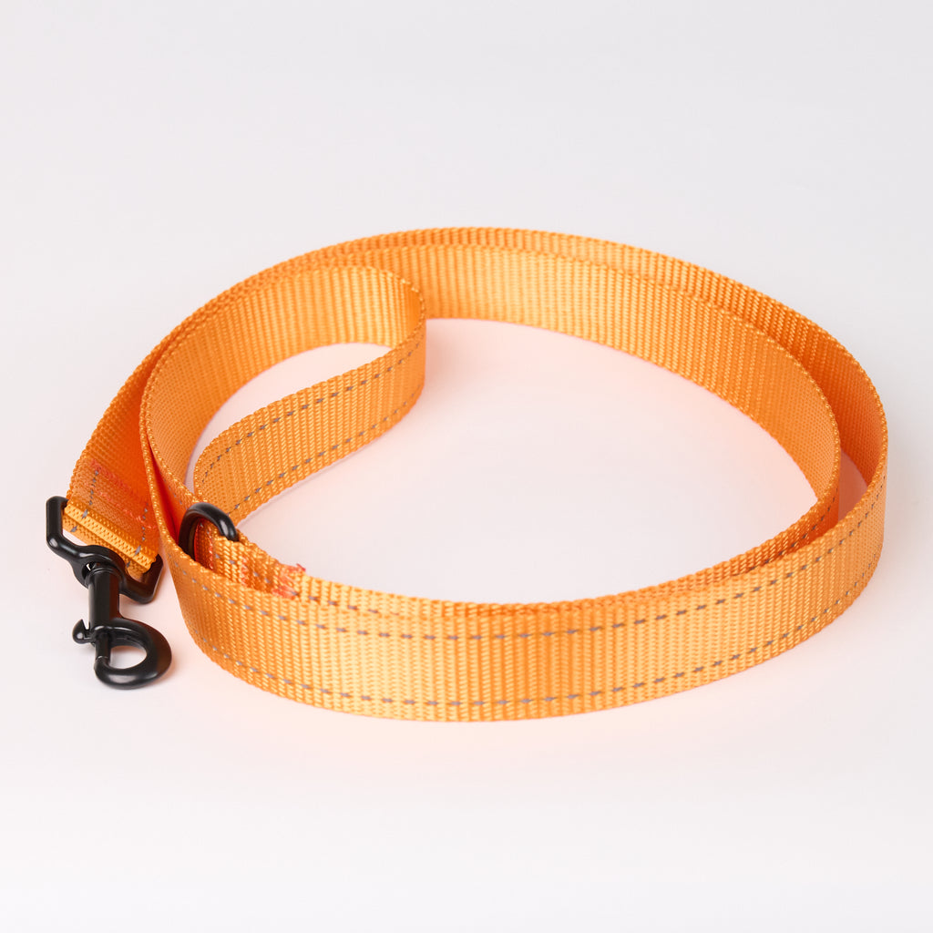 Nylon Dog Leash - Orange