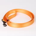 Nylon Dog Leash - Orange
