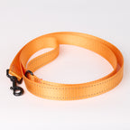 Nylon Dog Leash - Orange