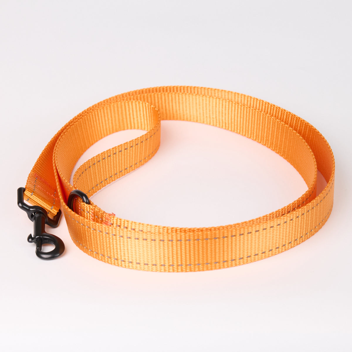 Nylon Dog Leash - Orange