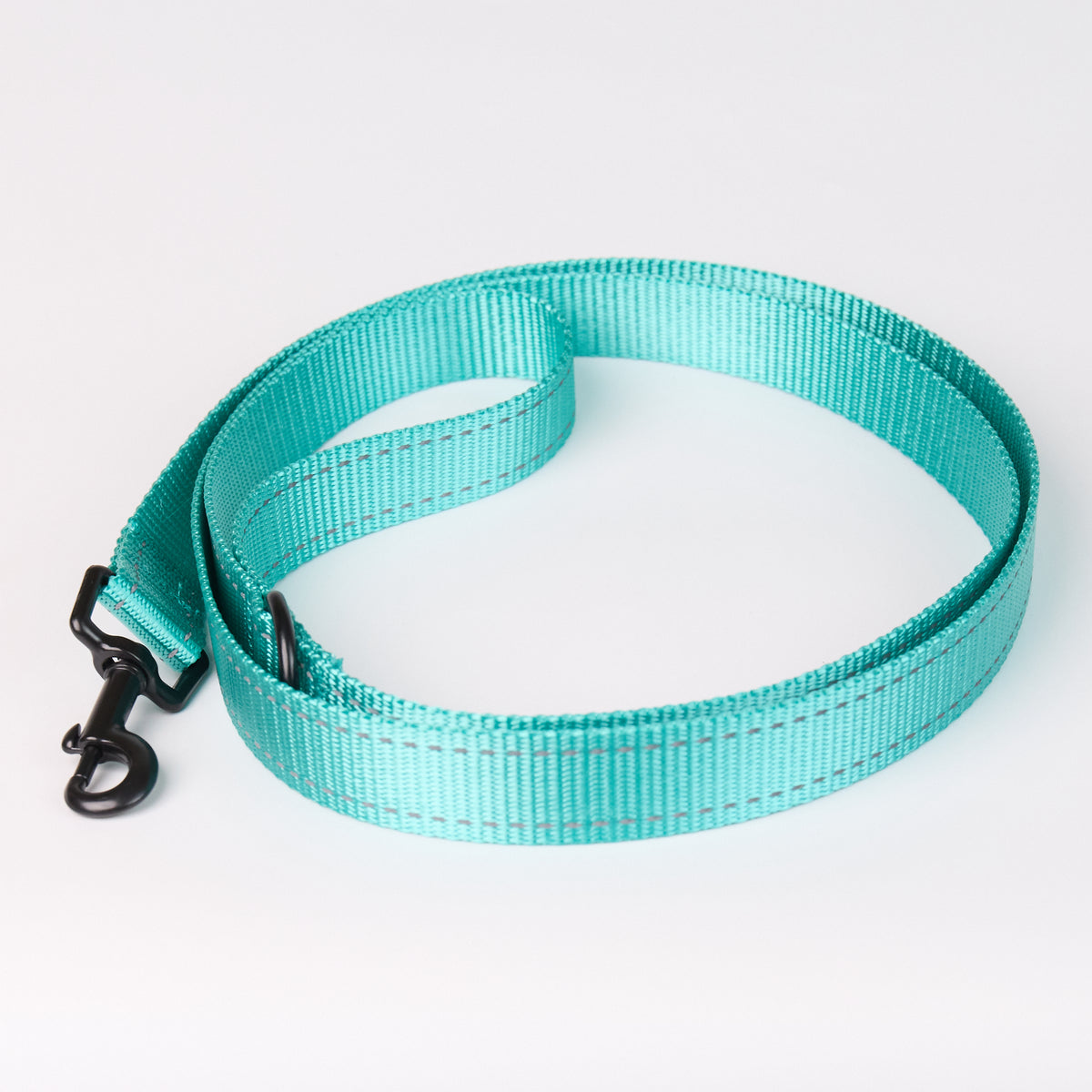 Nylon Dog Leash - Aquamarine