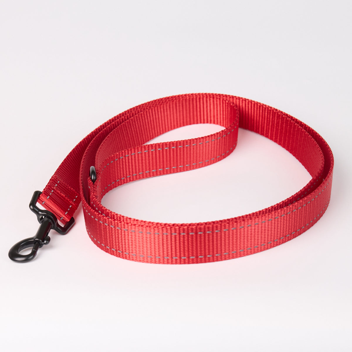 Nylon Dog Leash - Red