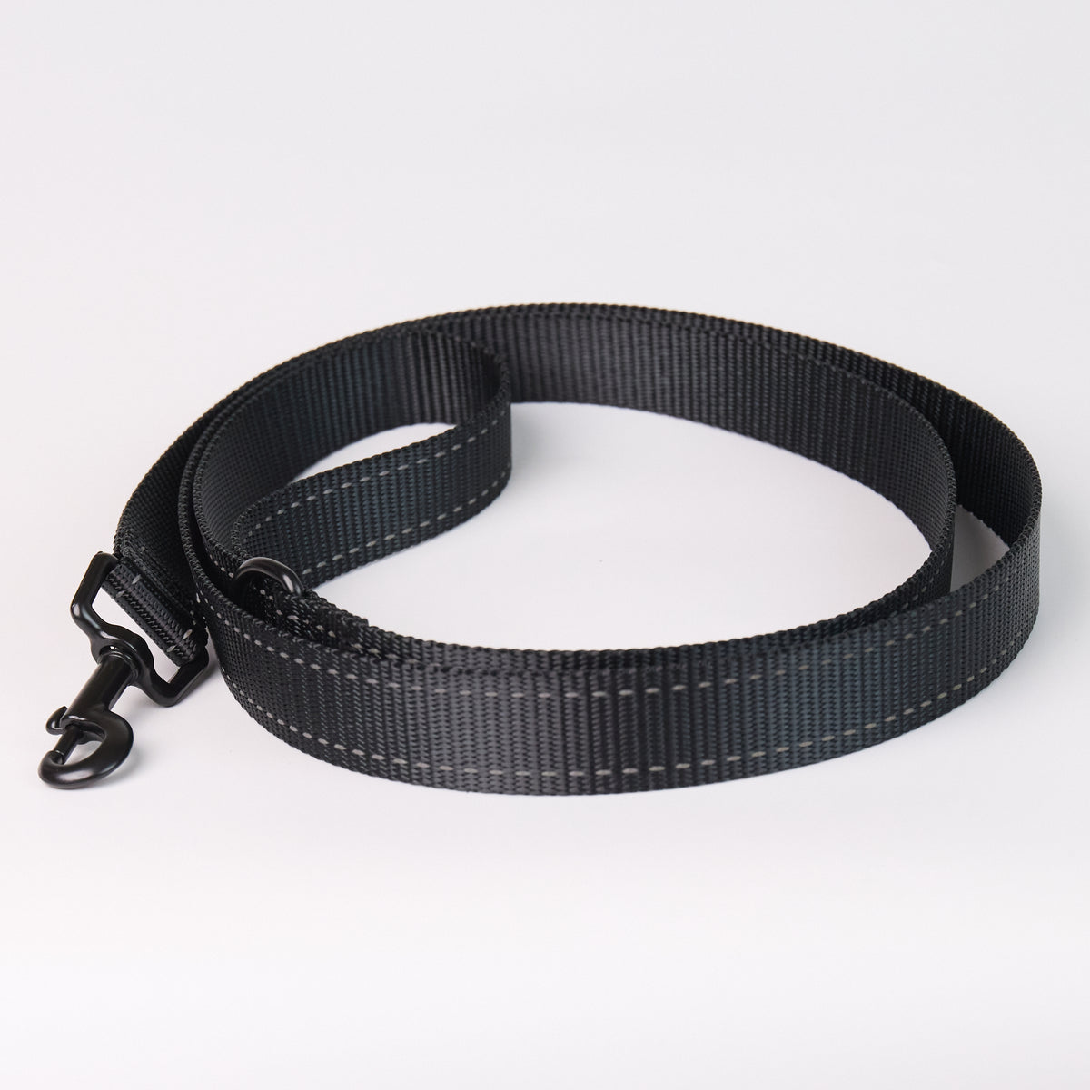 Nylon Dog Leash - Black