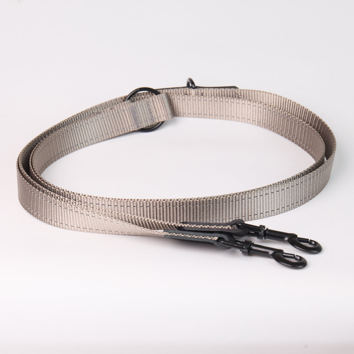 Adjustable Nylon Dog Leash - Gray