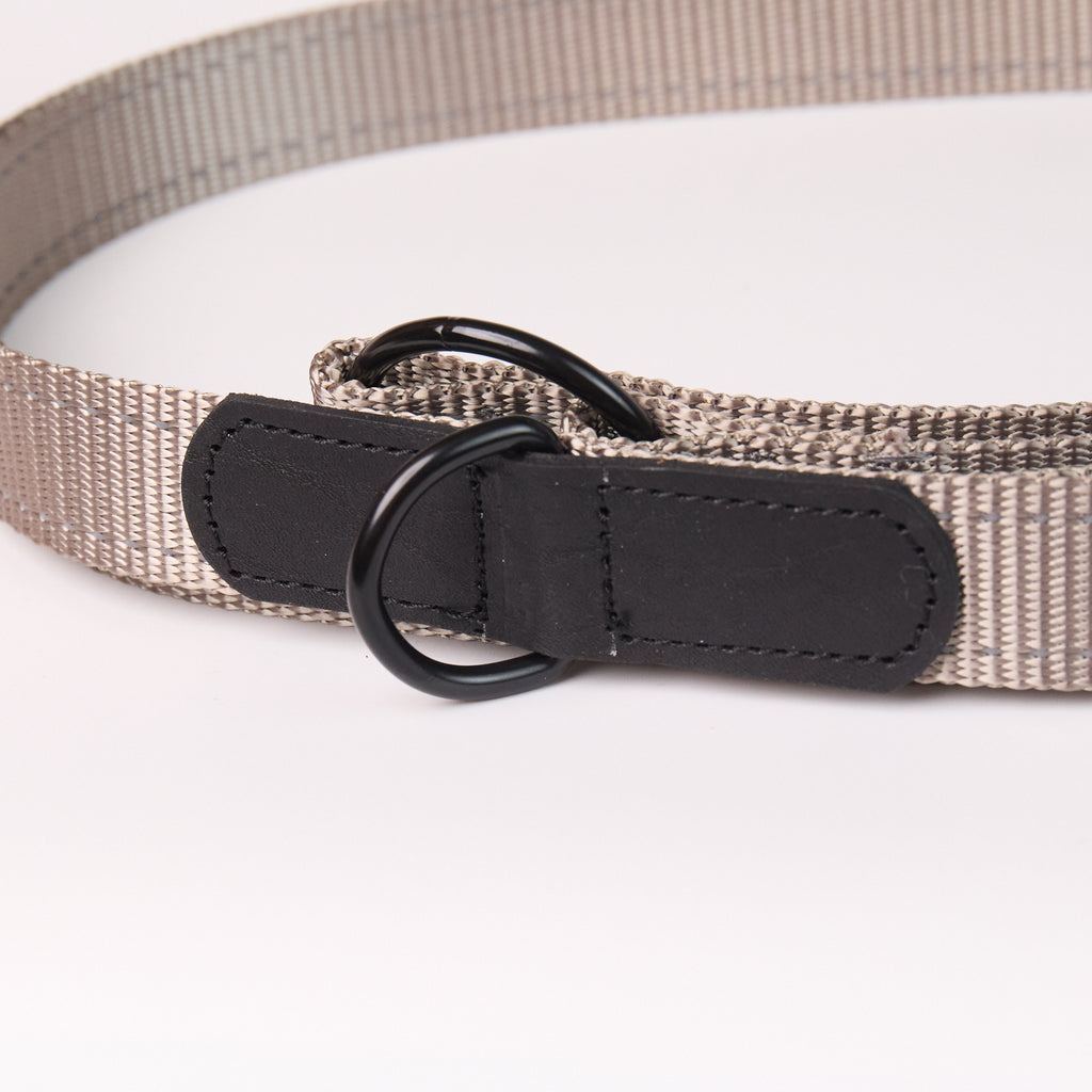 Adjustable Nylon Dog Leash - close-up product detail