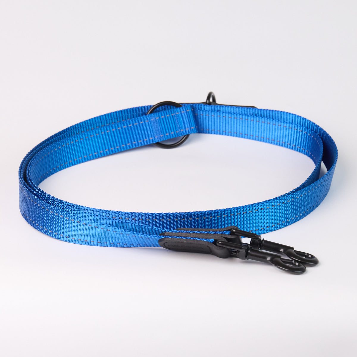 Adjustable Nylon Dog Leash - Blue