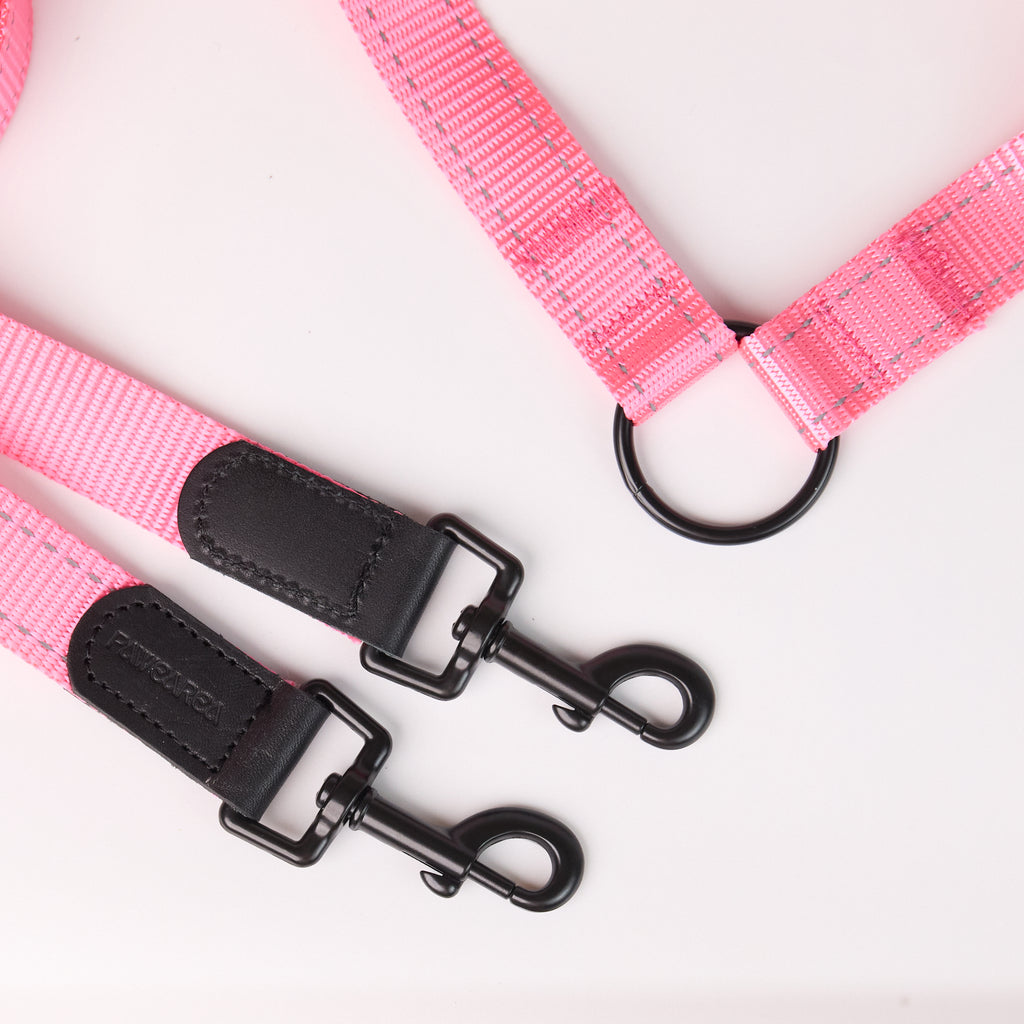 Adjustable Nylon Dog Leash - close-up product detail