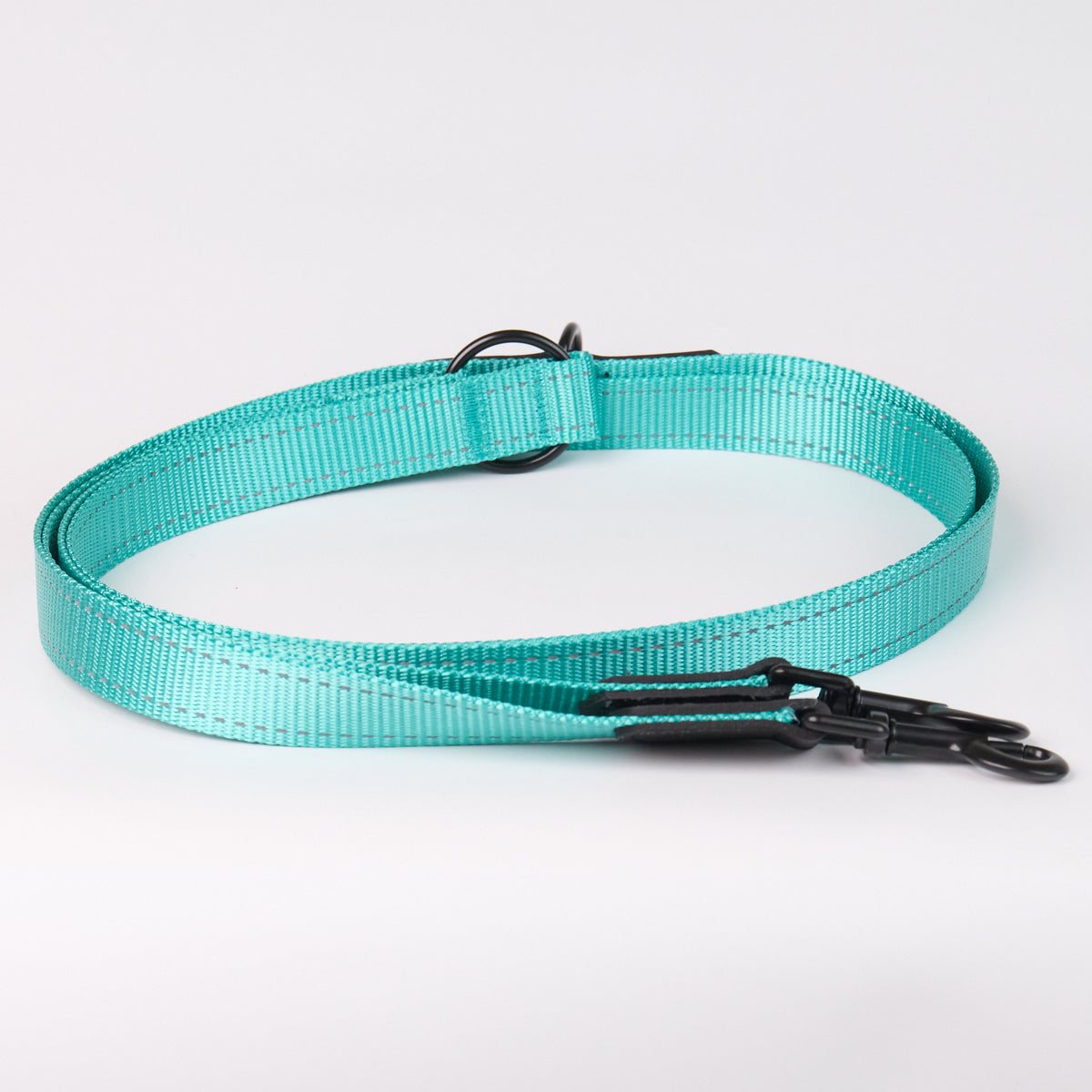Adjustable Nylon Dog Leash - Aquamarine