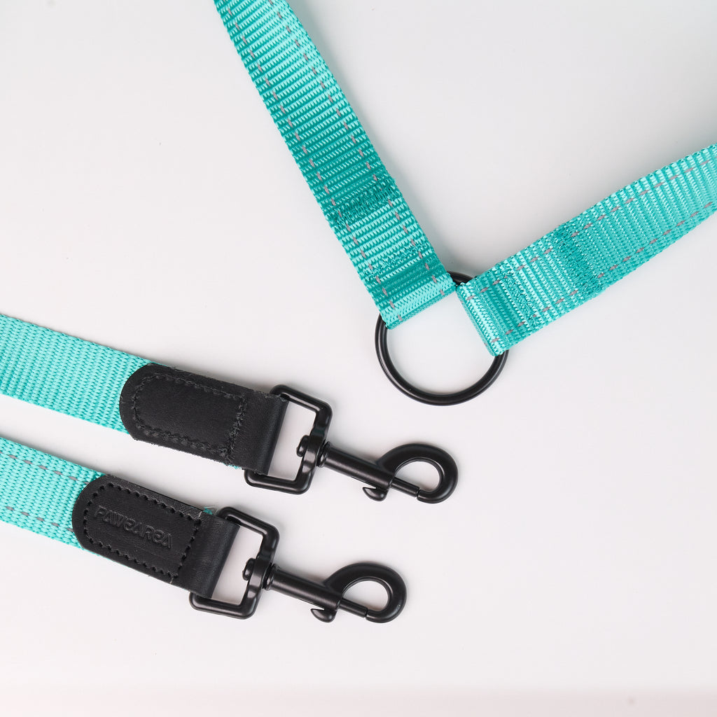 Adjustable Nylon Dog Leash - close-up product detail