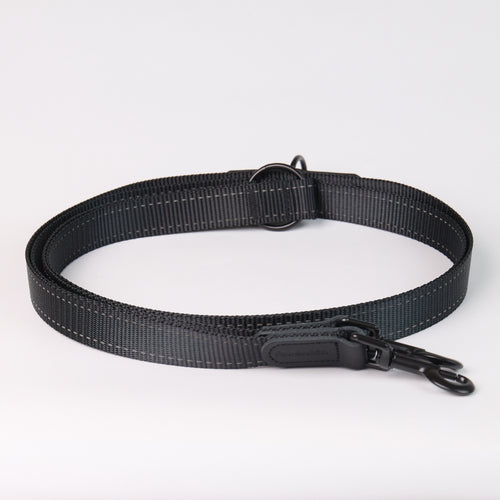Adjustable Nylon Dog Leash - Black