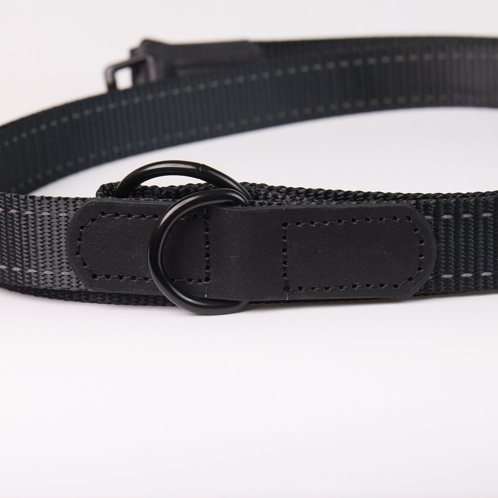 Adjustable Nylon Dog Leash - additional product view