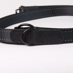 Adjustable Nylon Dog Leash - additional product view