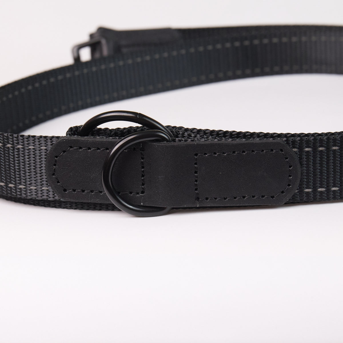 Adjustable Nylon Dog Leash - additional product view
