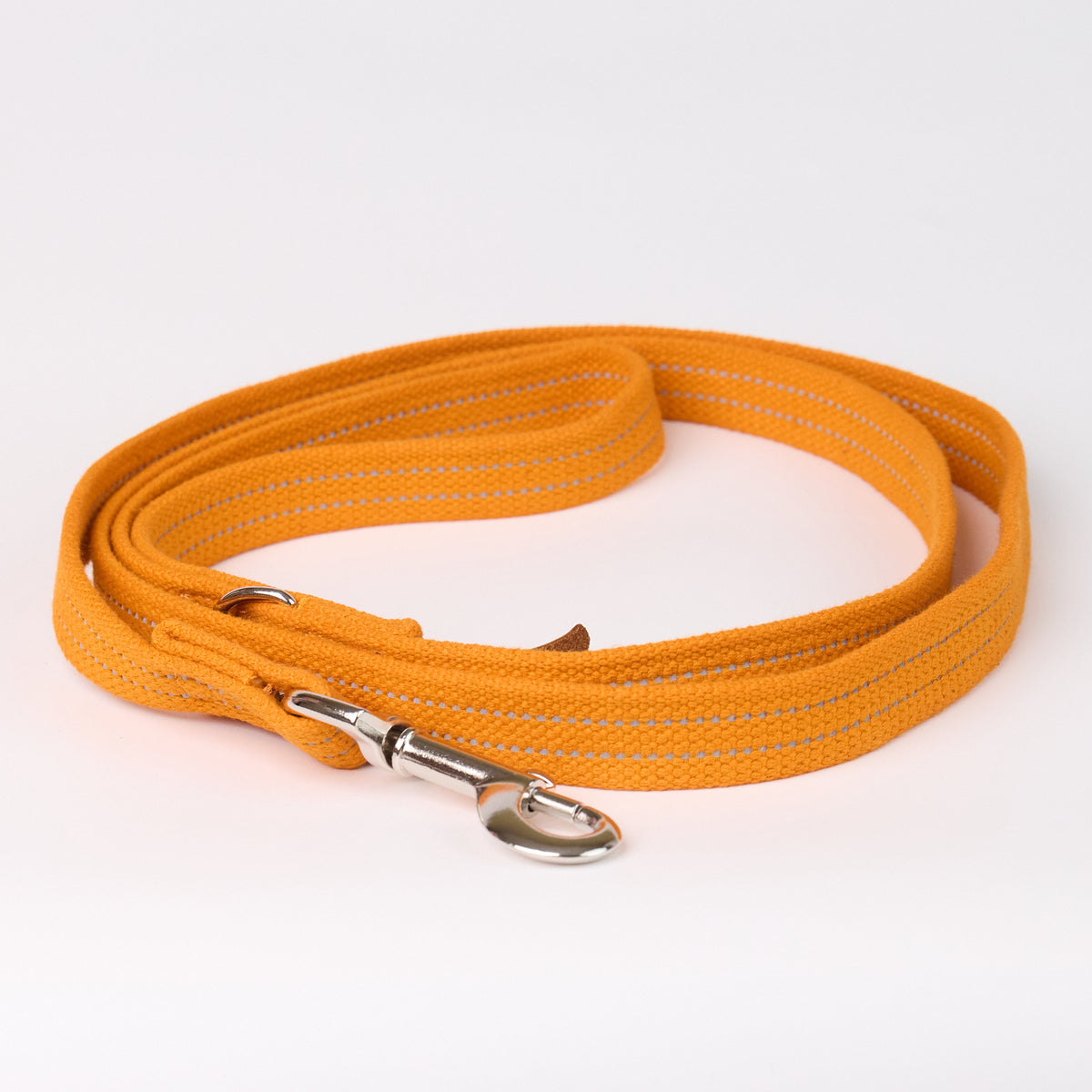 Reflective Canvas Dog Leash - Orange