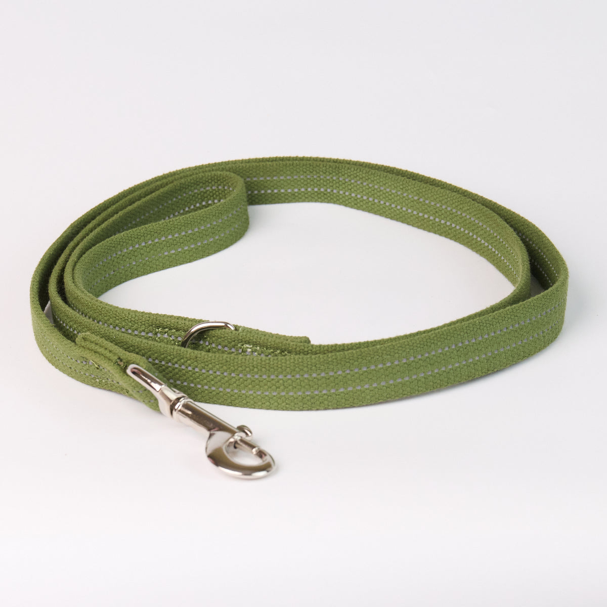 Reflective Canvas Dog Leash - Green