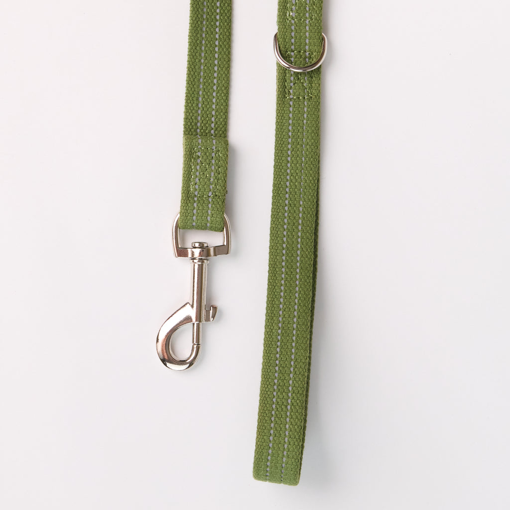 Reflective Canvas Dog Leash - additional product view