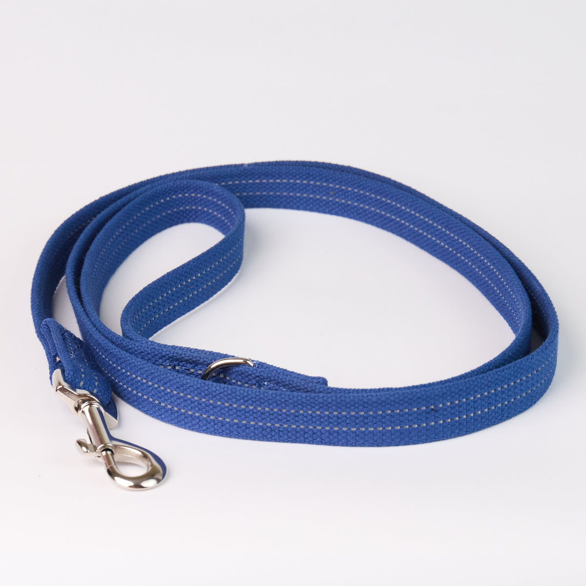 Reflective Canvas Dog Leash - Blue