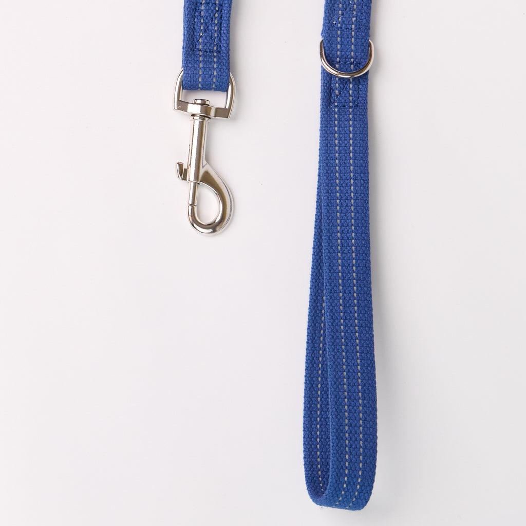 Reflective Canvas Dog Leash with Leather Details - close-up product detail