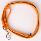 Reflective Canvas Dog Leash - additional product view