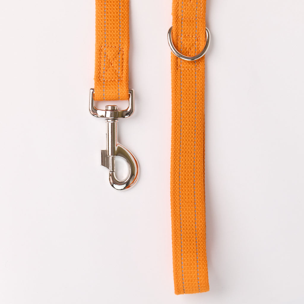 Reflective Canvas Dog Leash with Leather Details - close-up product detail