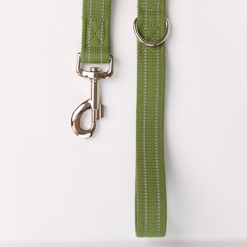 Reflective Canvas Dog Leash with Leather Details - close-up product detail
