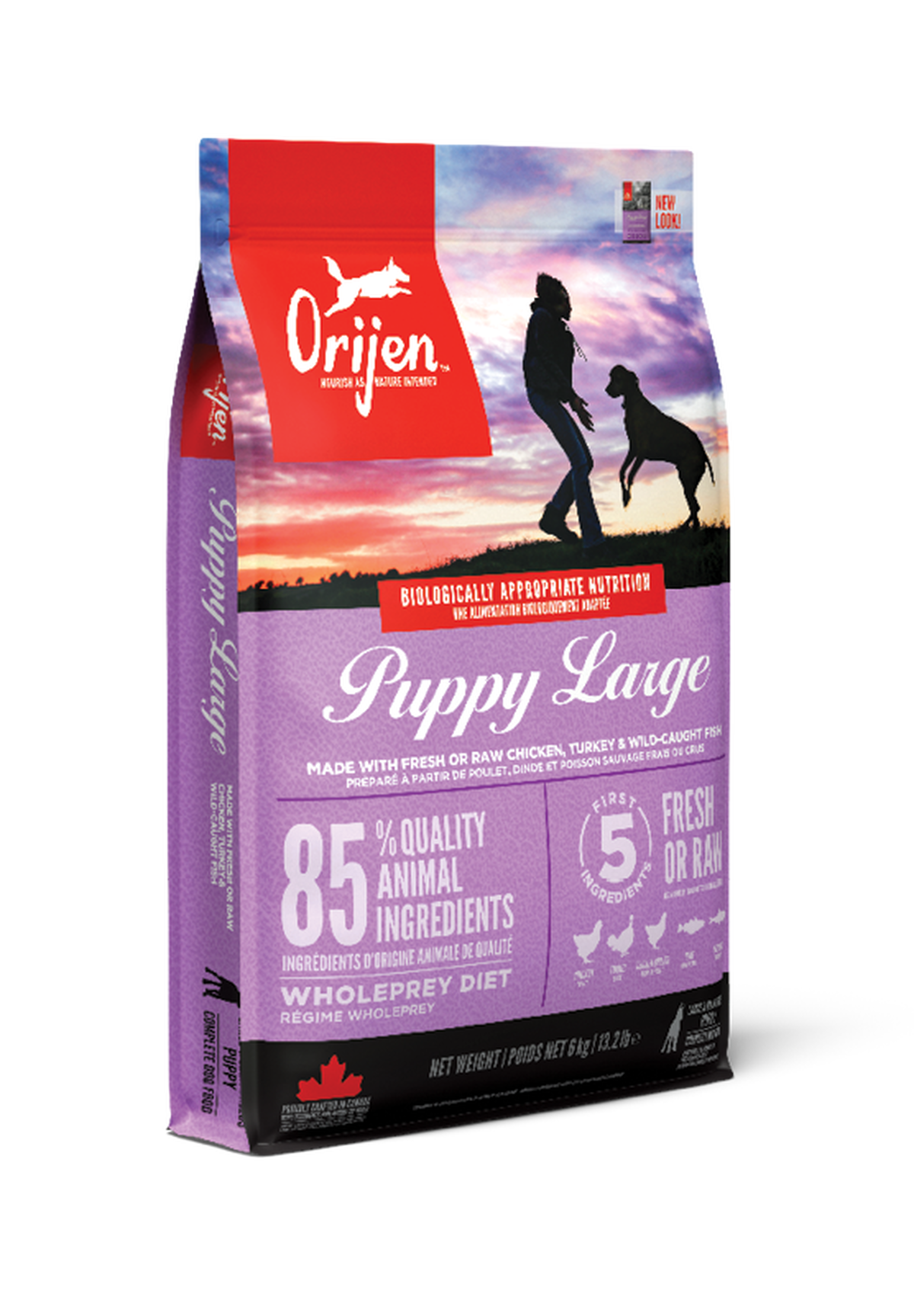 Puppy Large