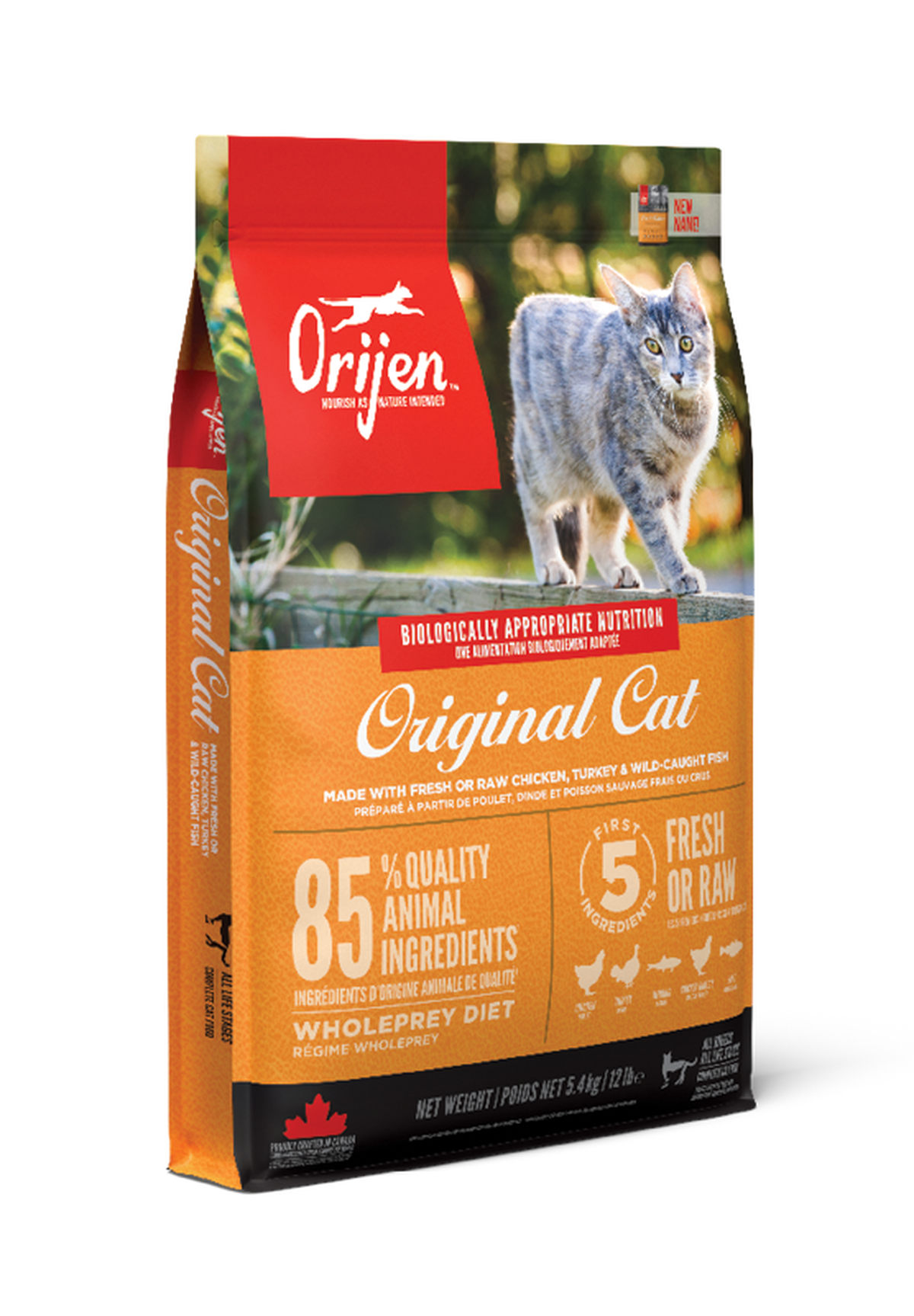 Original Cat