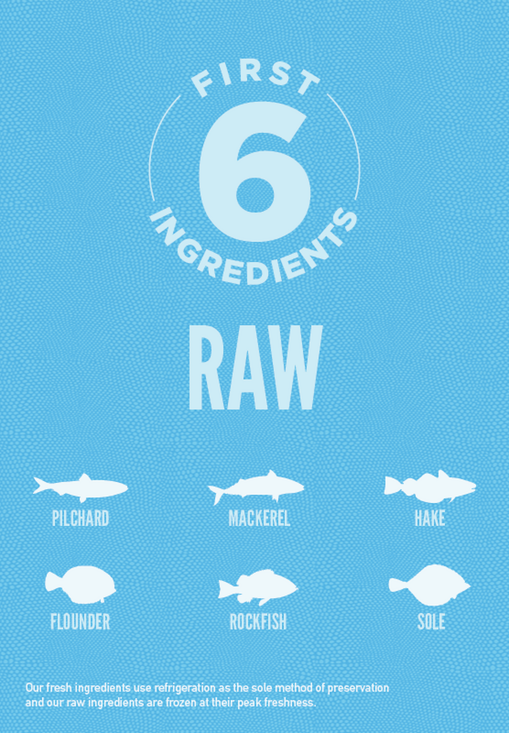 Six Fish Dog