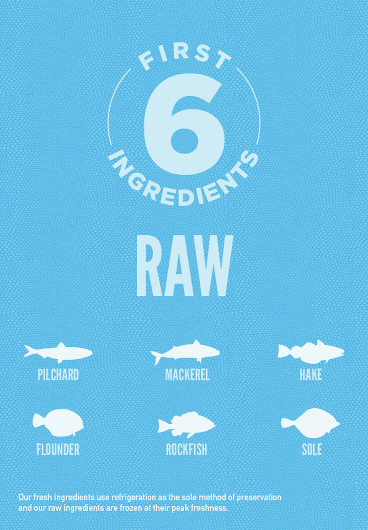 Six Fish Dog