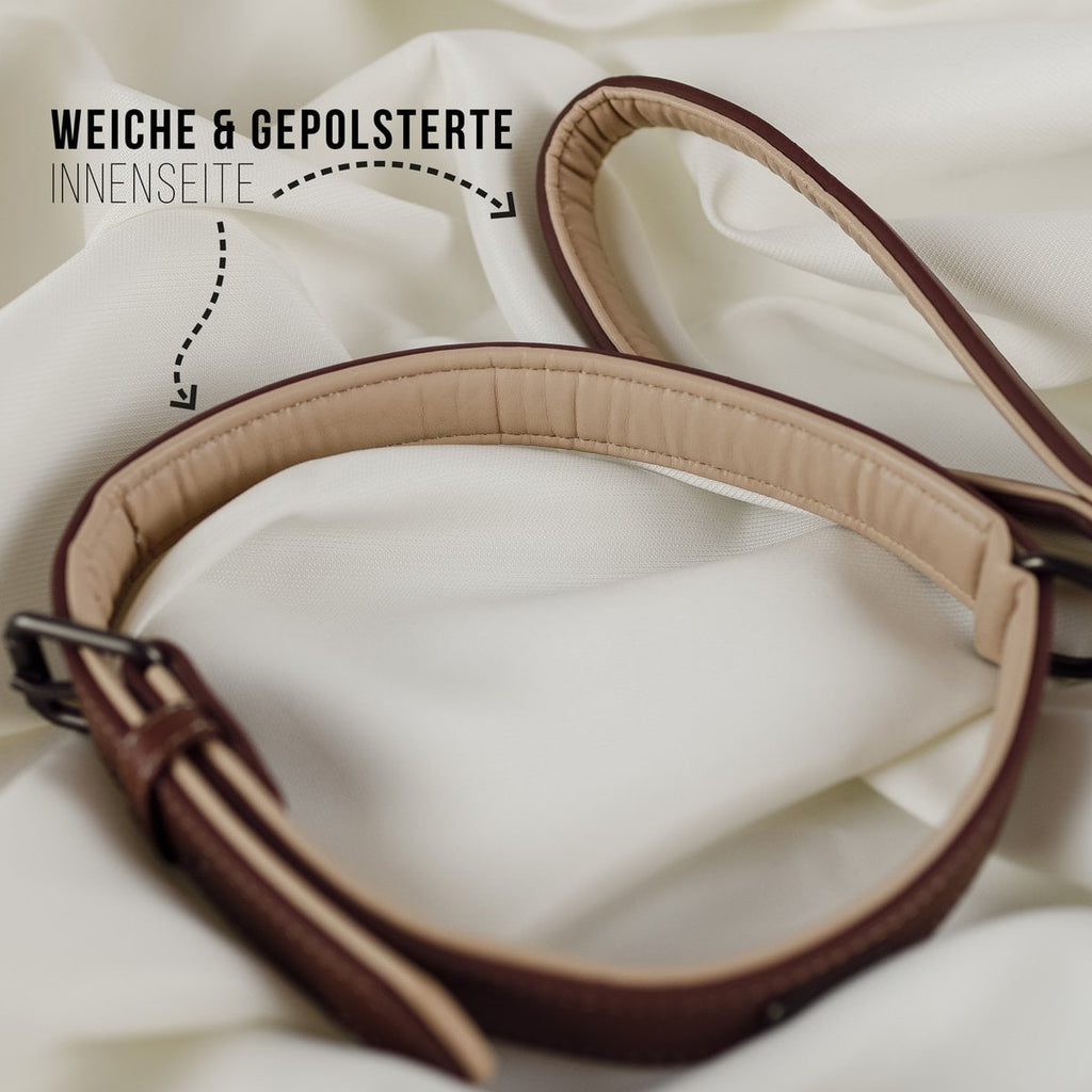 Hundehalsband- und Leinen-Set – Veganes Leder Braun & Beige