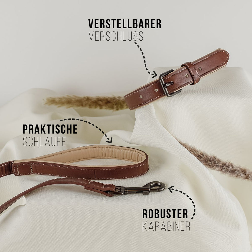 Hundehalsband- und Leinen-Set – Veganes Leder Braun & Beige