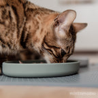 Cat Bowl – Silicone Shallow Whisker-Friendly