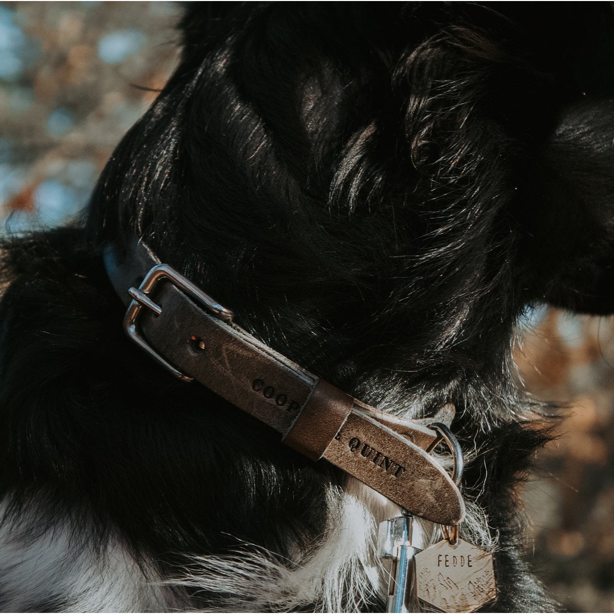 Hundehalsband aus Leder – Steinfarben