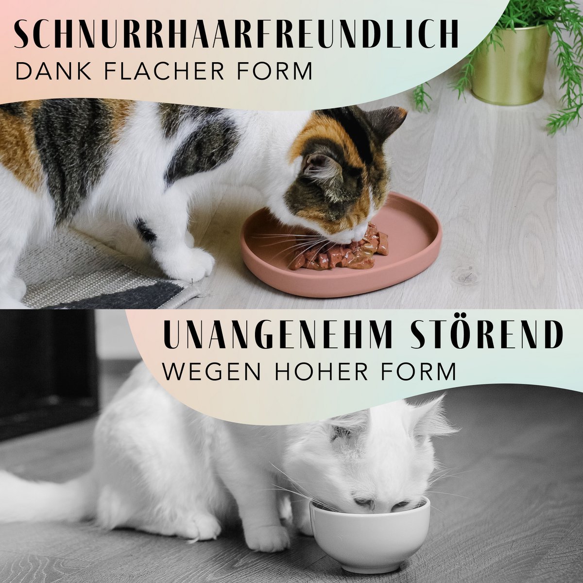 Cat Bowl – Silicone Shallow Whisker-Friendly