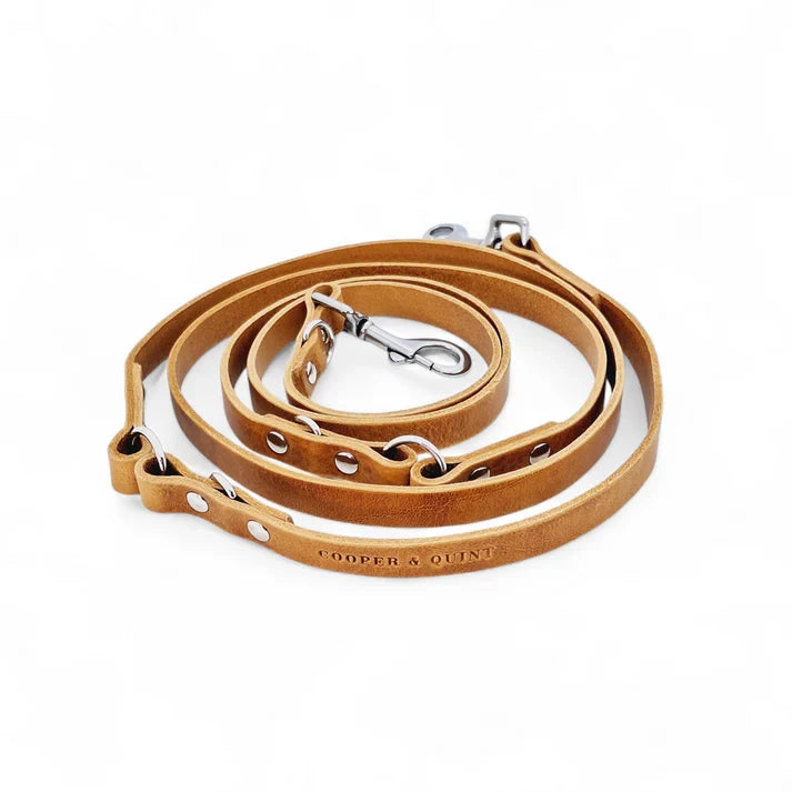 Verstellbare Hundeleine aus Leder – Camel