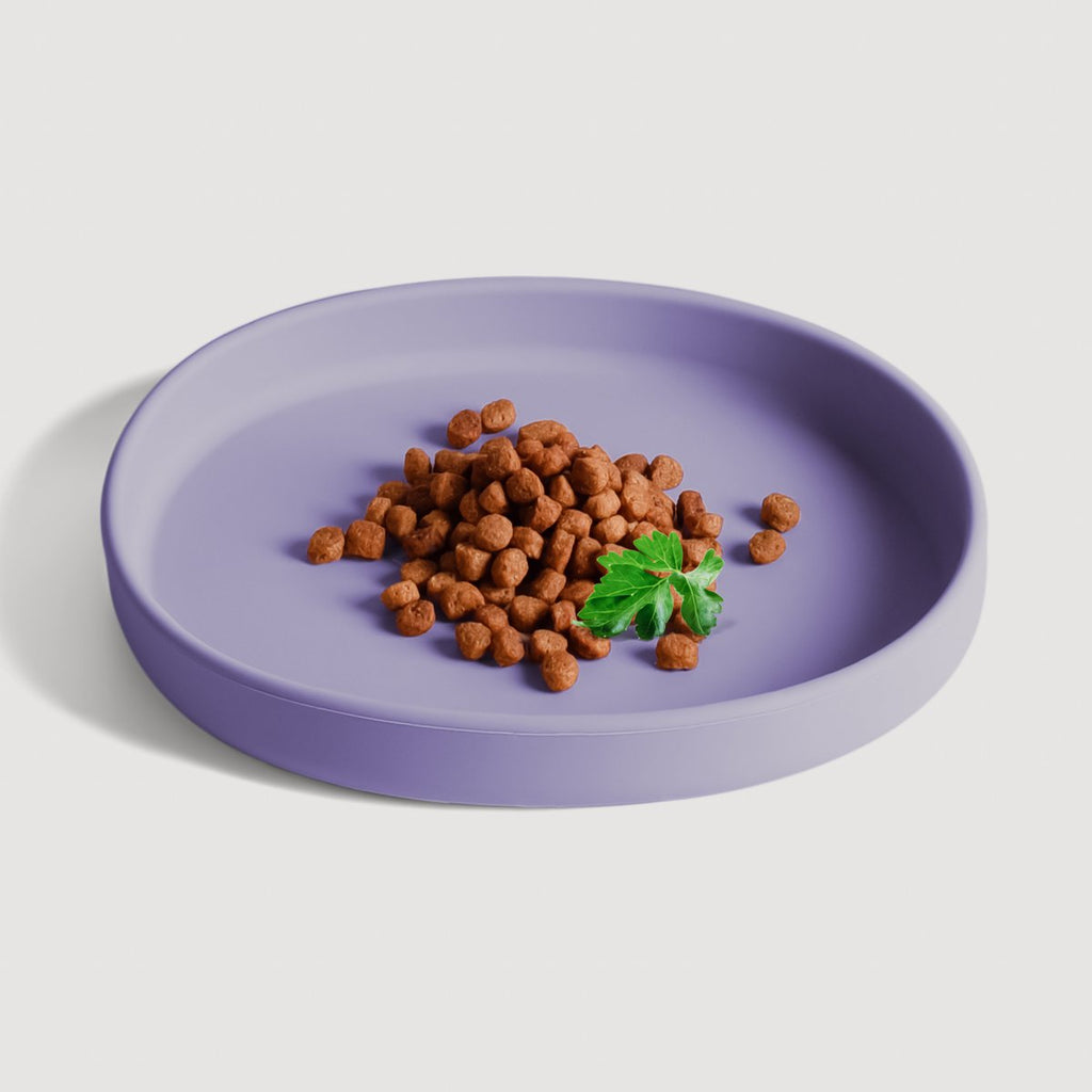 Cat Bowl – Silicone Shallow Whisker-Friendly