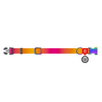 WAUDOG Nylon Dog Collar with QR Passport - Gradient - Orange