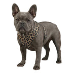 WAUDOG Mesh Breathable Dog Harness with QR Pet Tag - Leopard