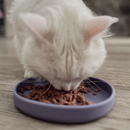 Cat Bowl – Silicone Shallow Whisker-Friendly