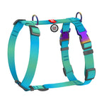 WAUDOG Nylon Recycled Dog Anatomic H-Harness with QR Passport - Gradient - Blue