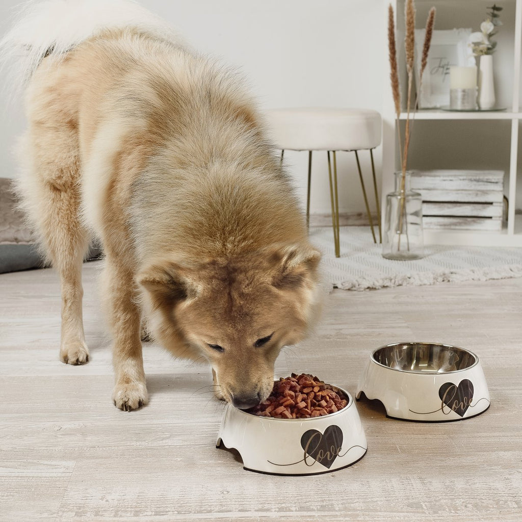Futternapf 2er Set für große Hunde - Love Design