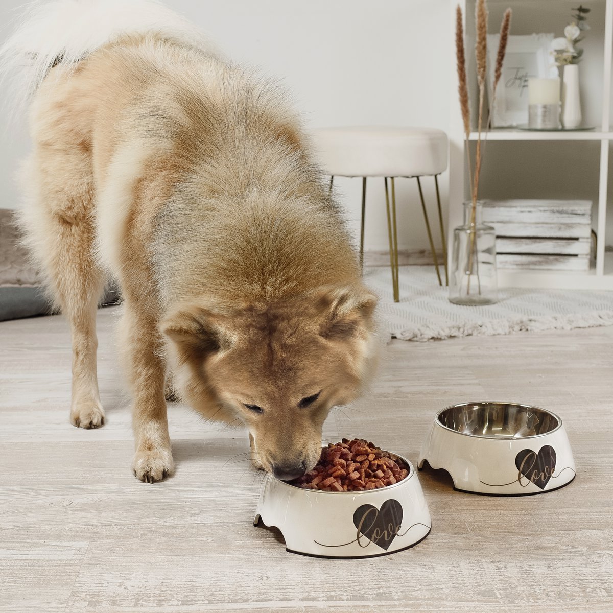 Futternapf 2er Set für große Hunde - Love Design